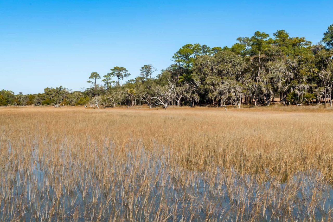 1824 Back Forty Road Photo 30