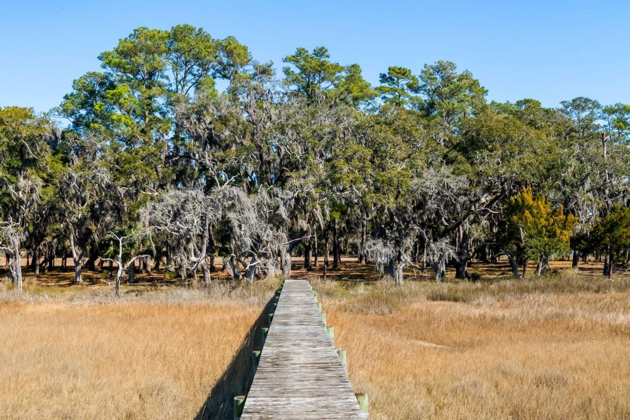 1824 Back Forty Road Photo 31