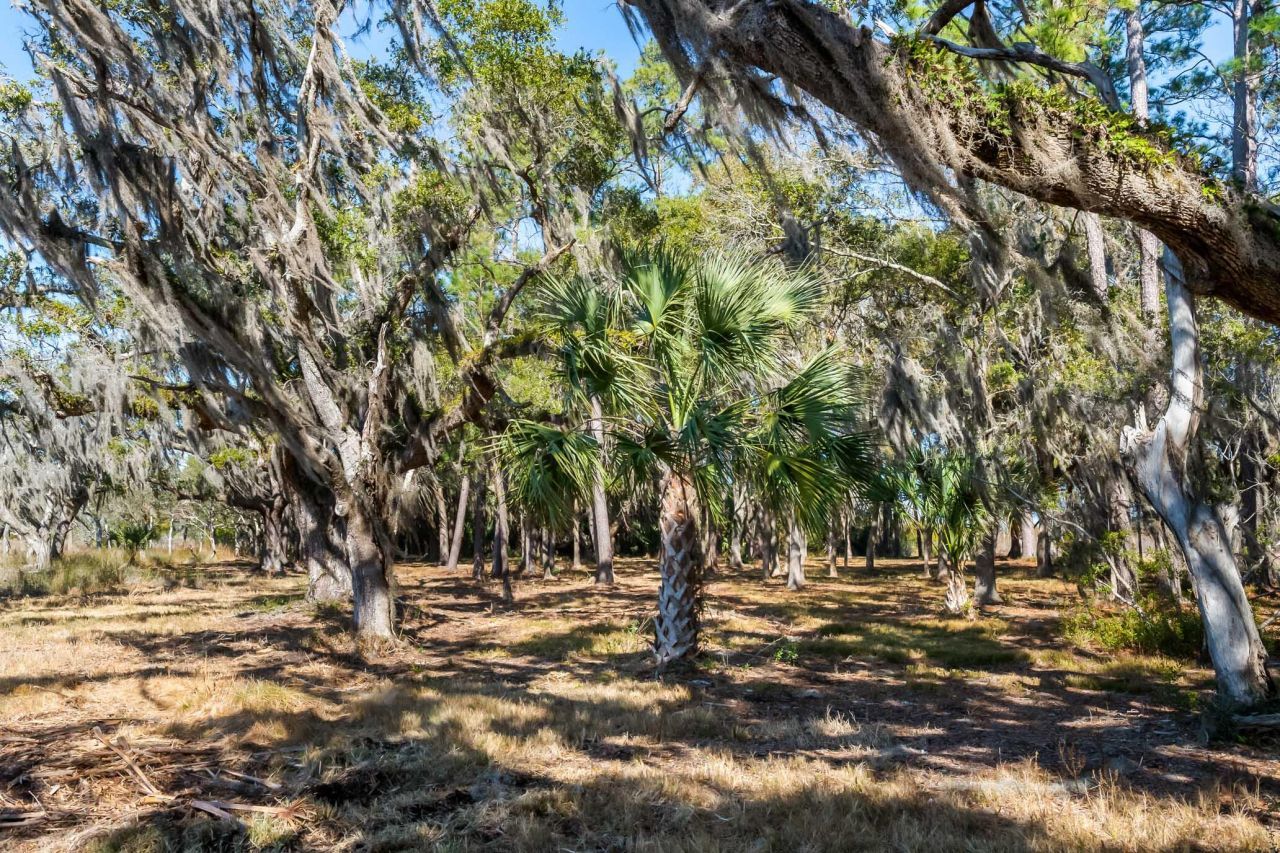 1824 Back Forty Road Photo 32