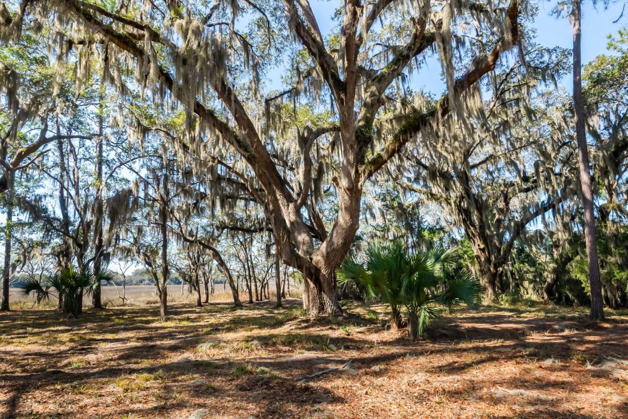 1824 Back Forty Road Photo 34