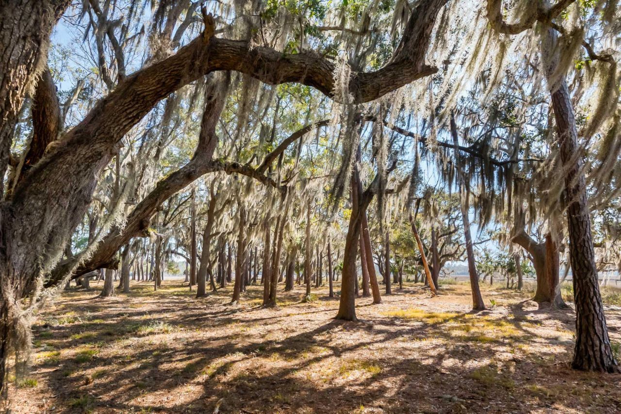 1824 Back Forty Road Photo 36