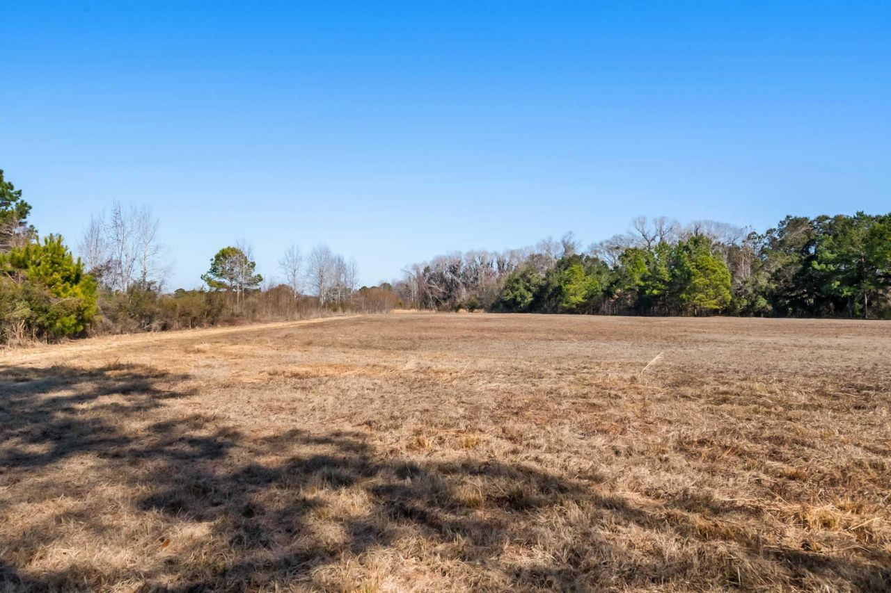 1824 Back Forty Road Photo 37