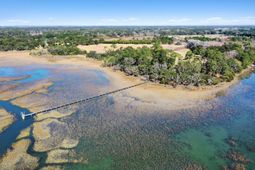 1824 Back Forty Road photo 4