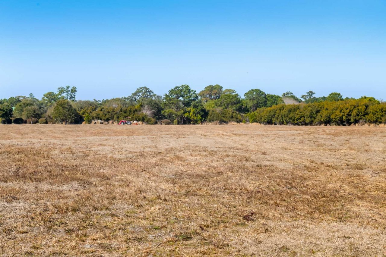 1824 Back Forty Road Photo 40