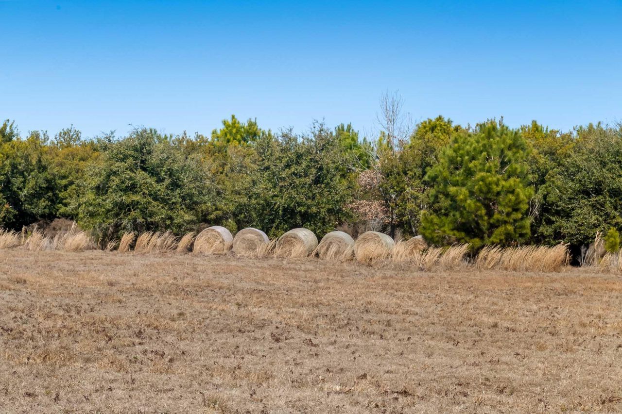 1824 Back Forty Road Photo 41