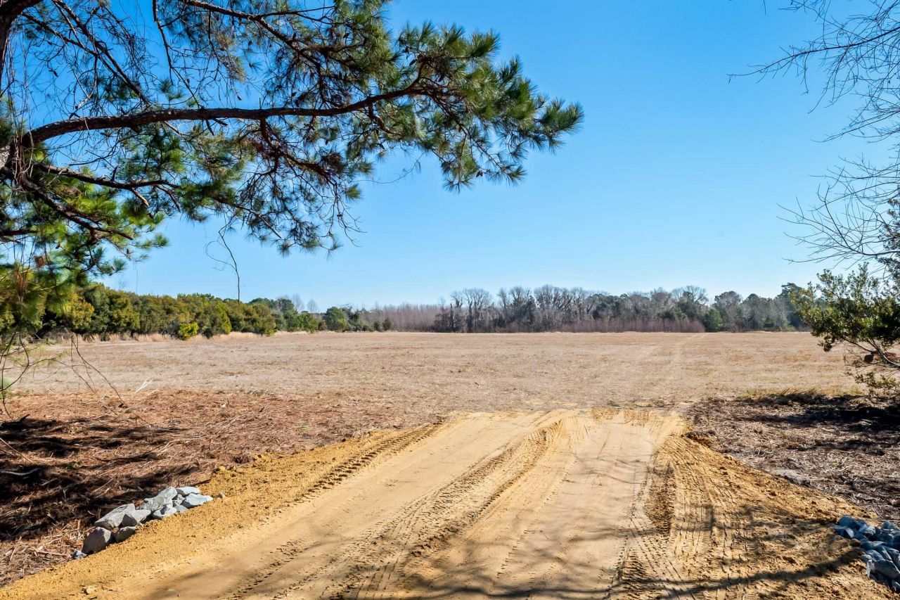 1824 Back Forty Road Photo 43