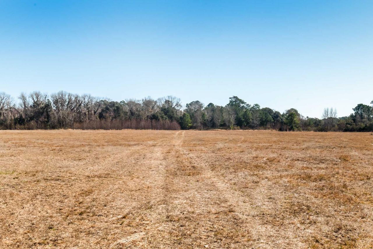 1824 Back Forty Road Photo 44