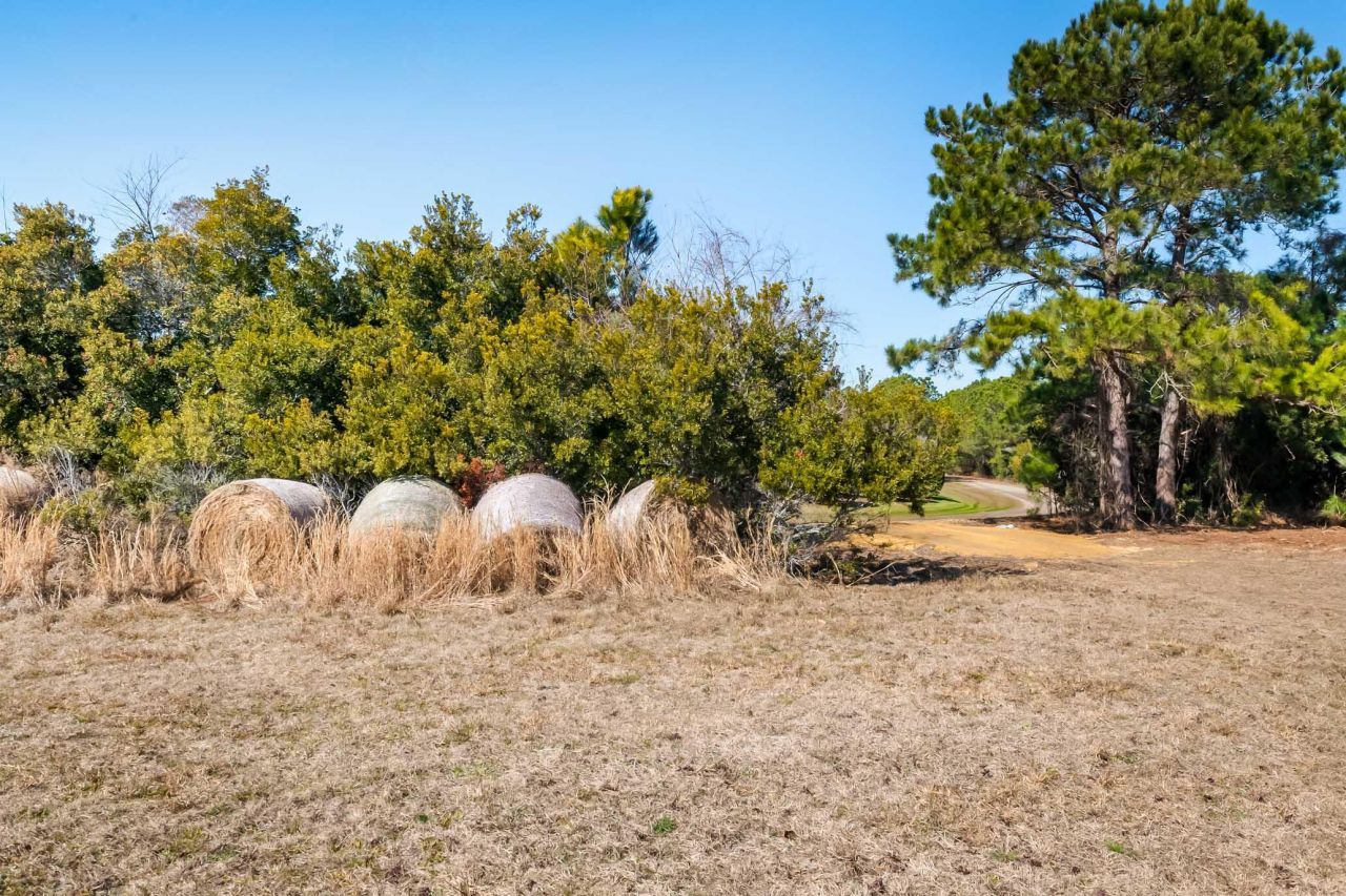 1824 Back Forty Road Photo 45