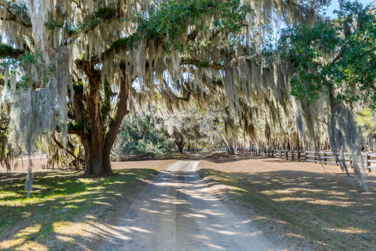 1824 Back Forty Road Photo 54