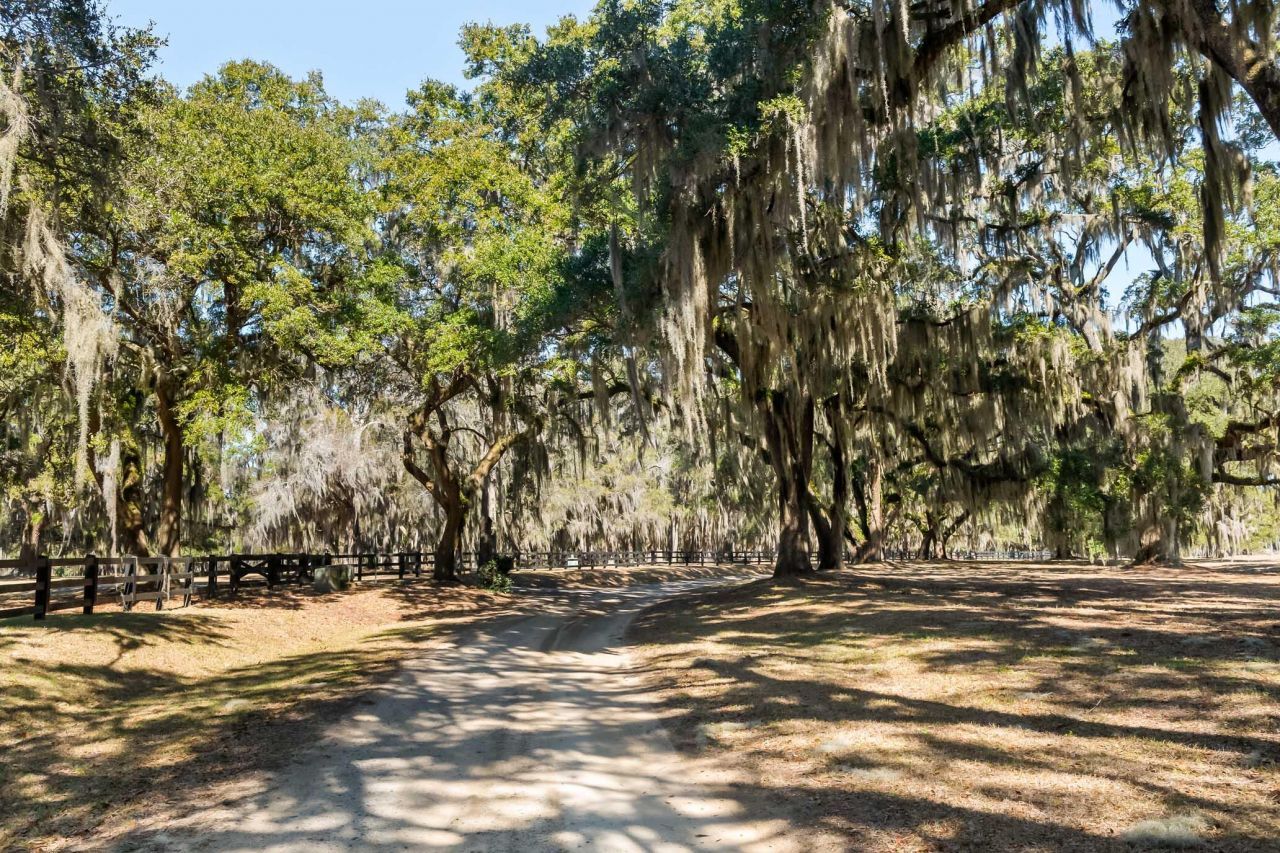 1824 Back Forty Road Photo 55