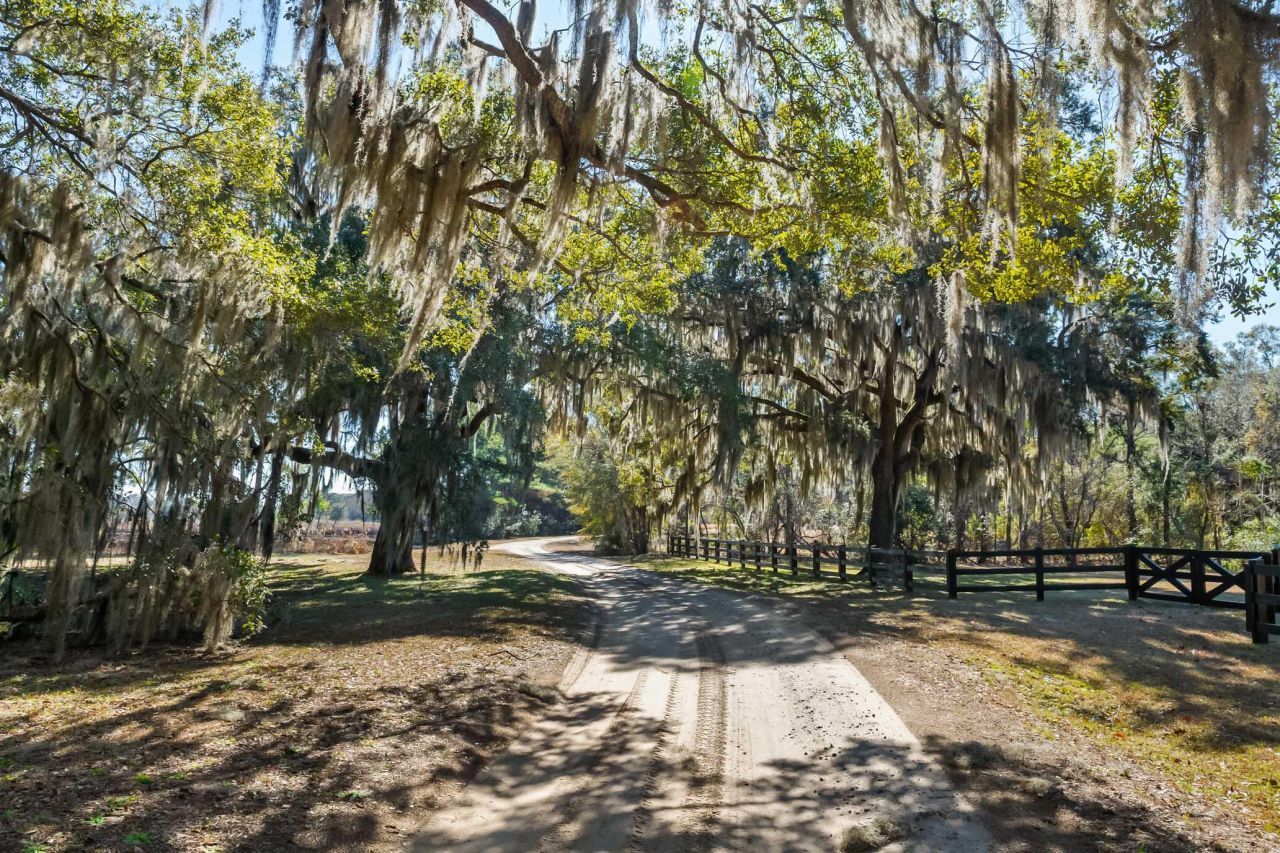 1824 Back Forty Road Photo 56