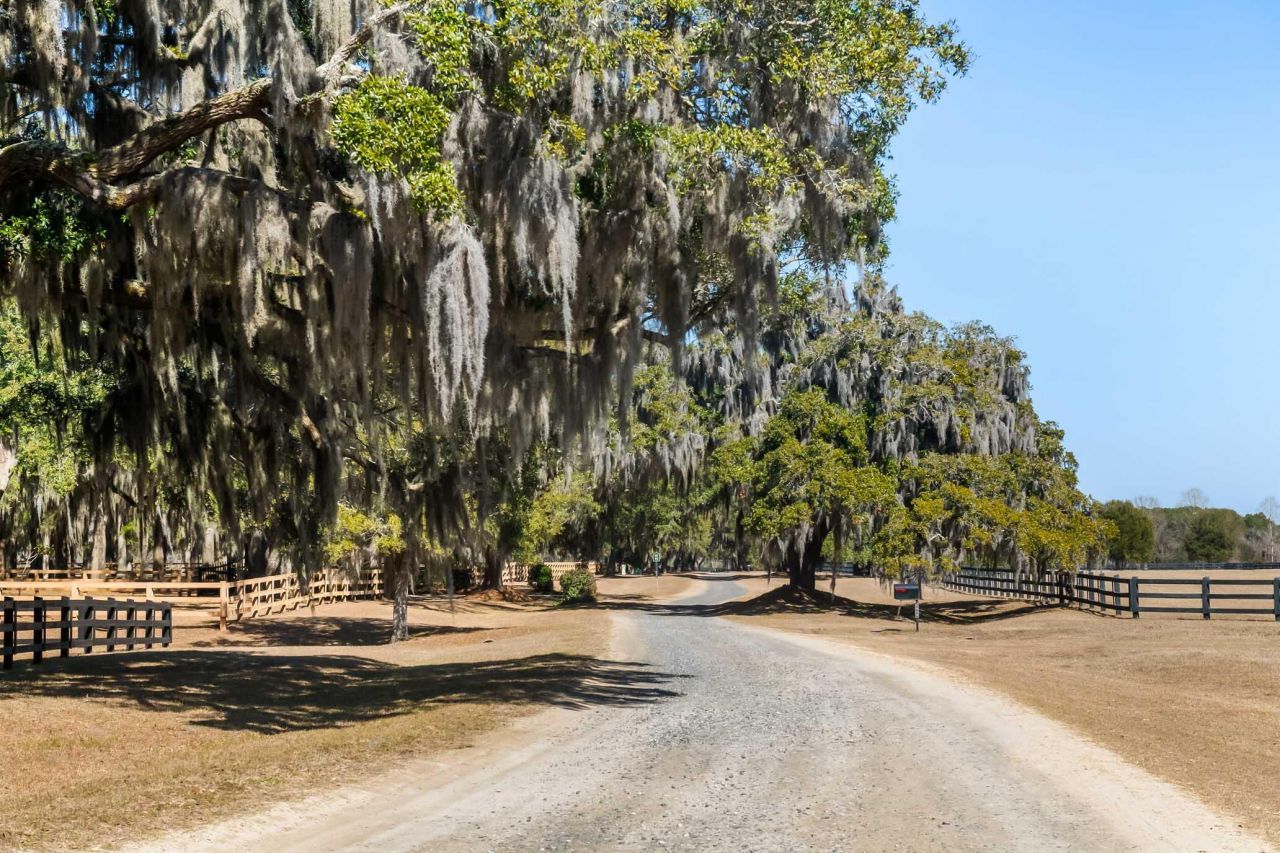 1824 Back Forty Road Photo 57