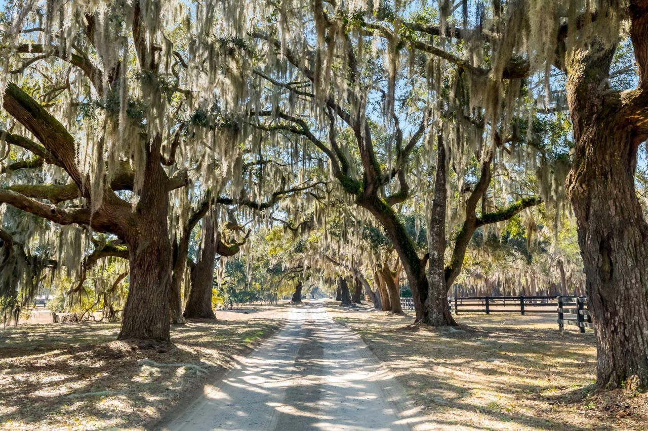 1824 Back Forty Road Photo 58