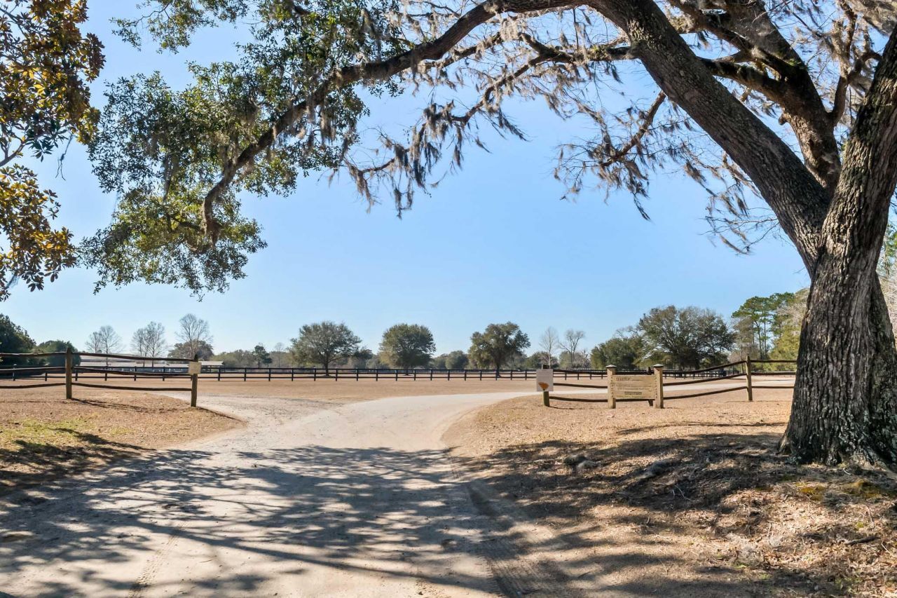 1824 Back Forty Road Photo 59