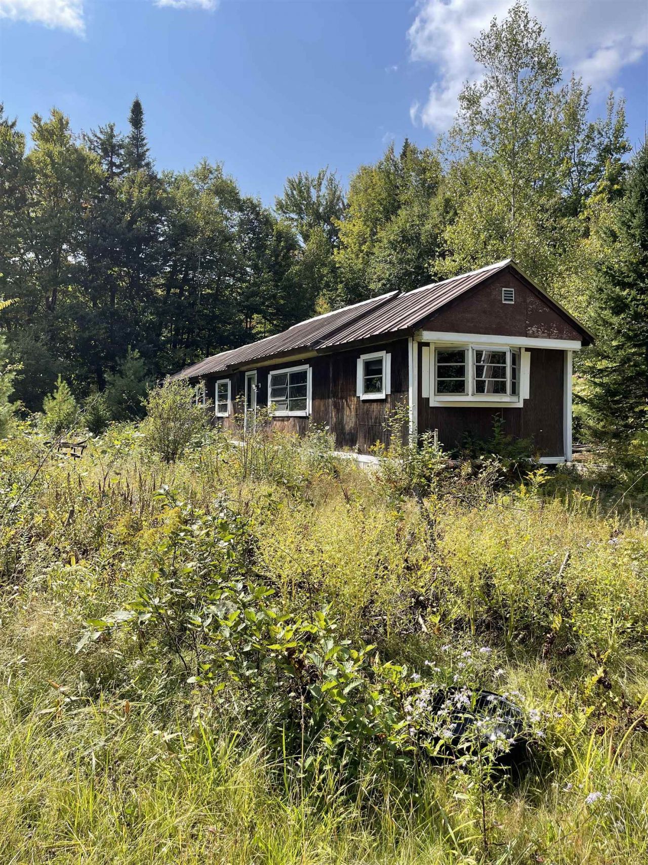 20 Brock Lane, Groton, NH 03241 Main Photo