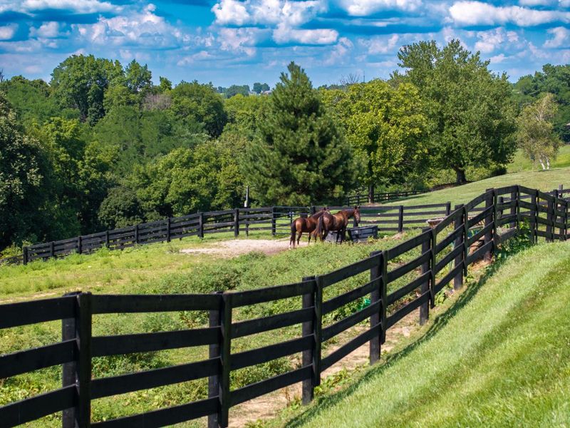 250 Boltz Lake Road, Dry Ridge, KY 41035 Photo 7