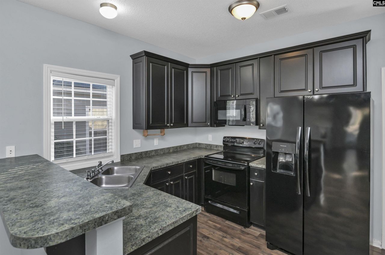 313 Castleburg Lane Photo 19