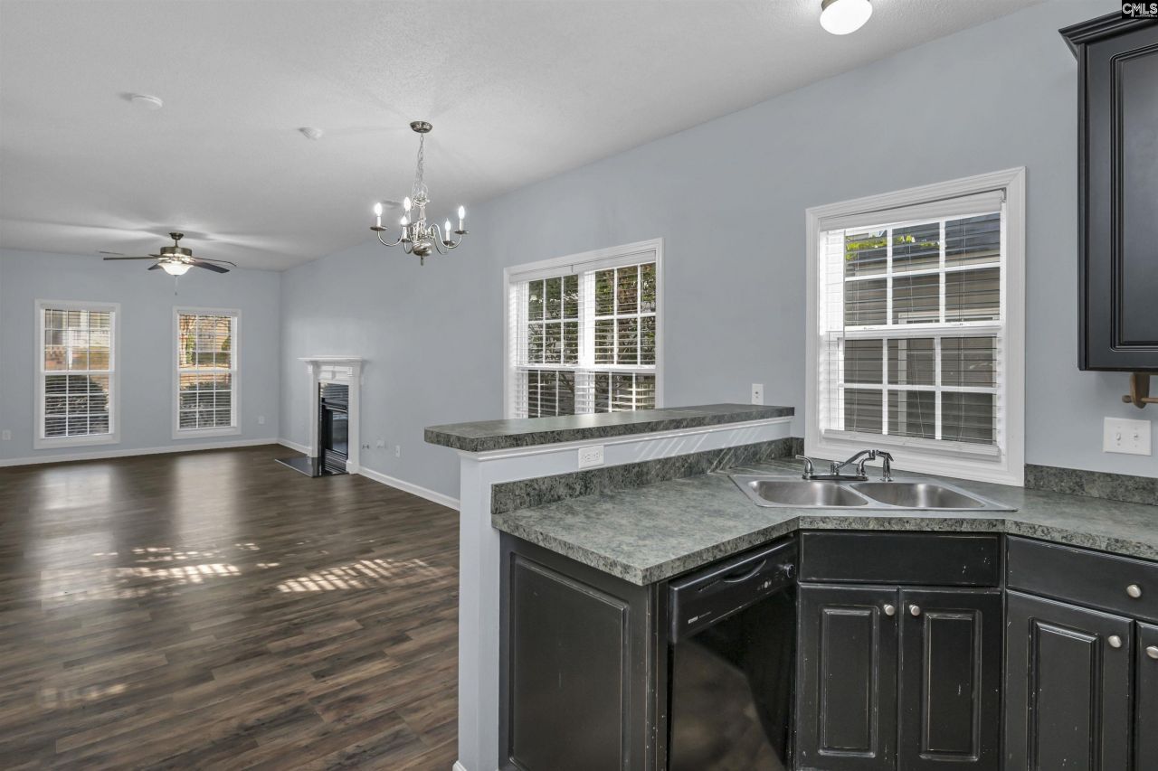 313 Castleburg Lane Photo 20