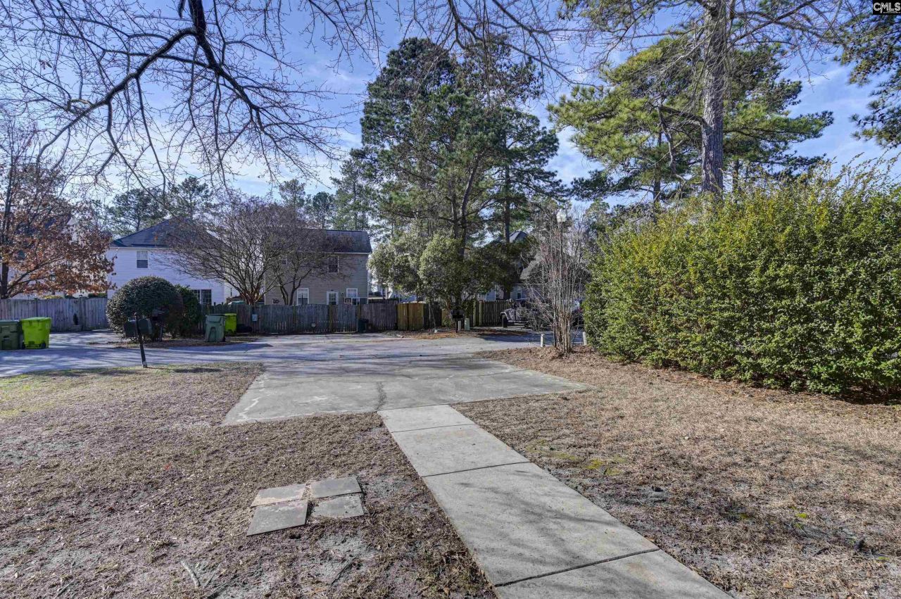 313 Castleburg Lane Photo 7