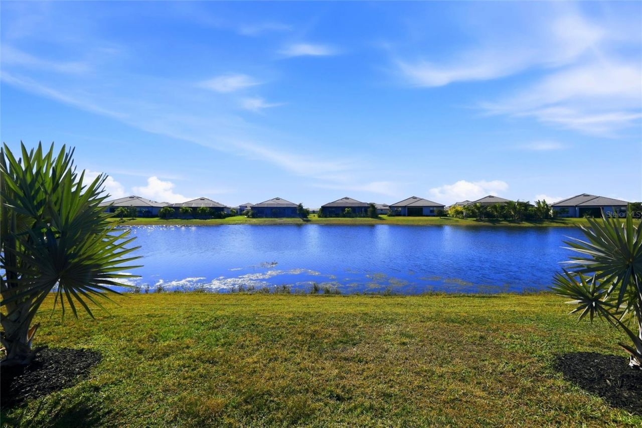 15532 White Linen Drive, Bradenton, FL 34211 Photo