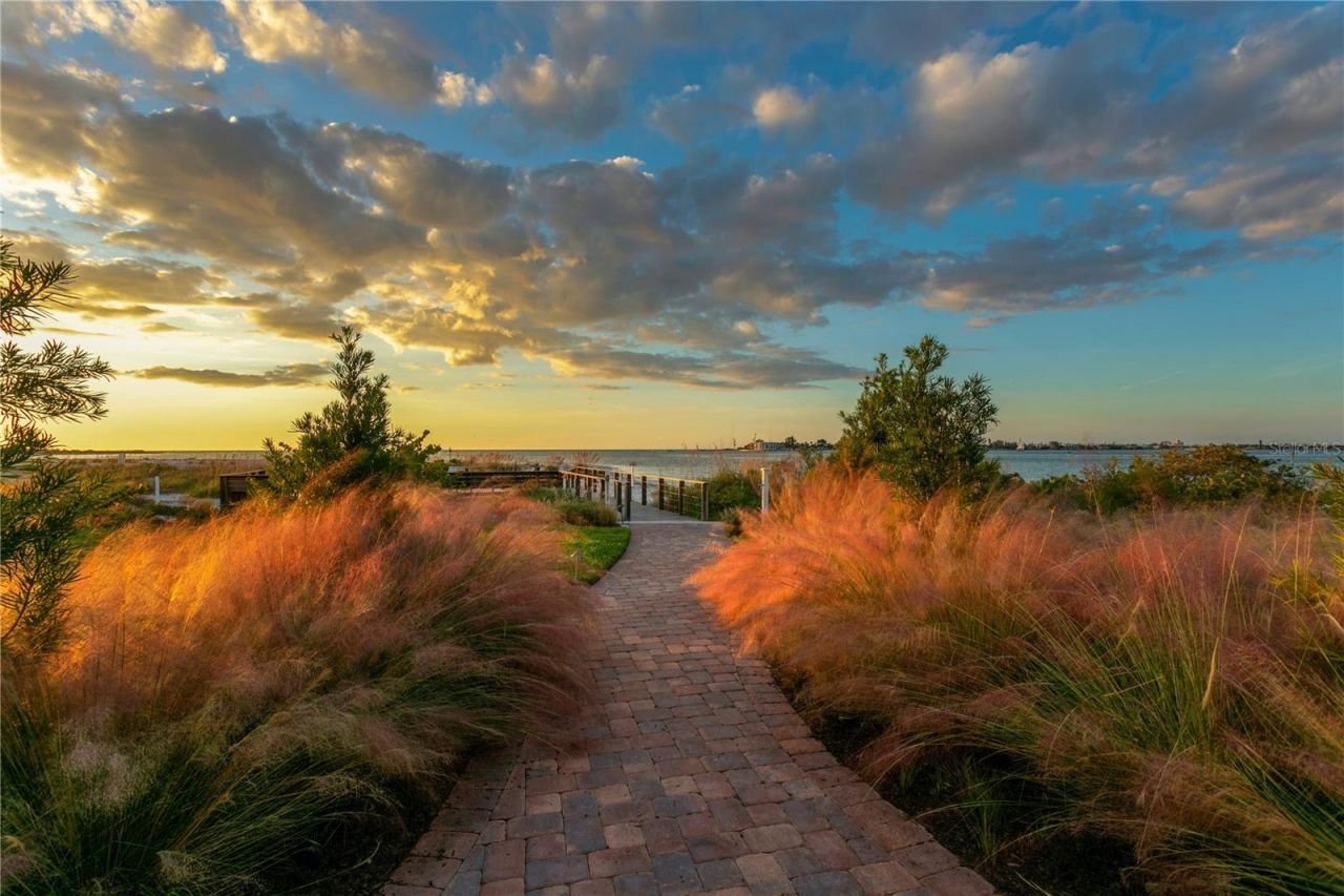 800 Collany Road, Unit 303, Saint Petersburg, FL 33715 Photo