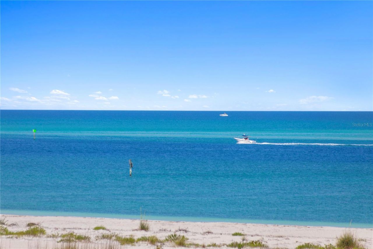 800 Collany Road, Unit 303, Saint Petersburg, FL 33715 Photo