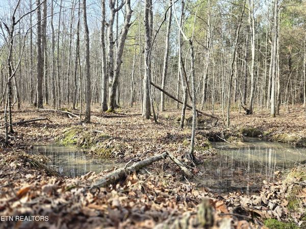 0 Cottonwood Tr, Sunbright, TN 37872