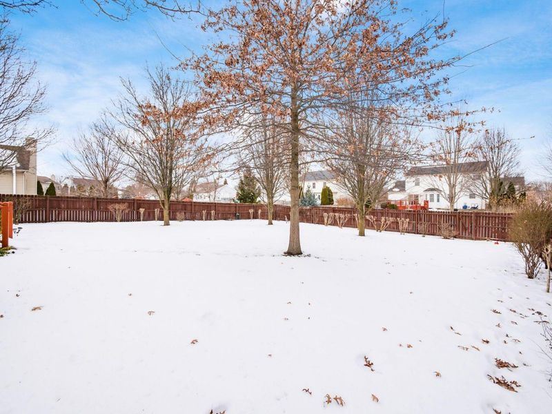 1431 Cottonwood Drive, Lewis Center, OH 43035 Photo 23