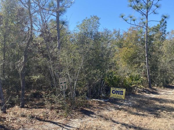 4520 Silkwater Lane, Southport, FL 32409