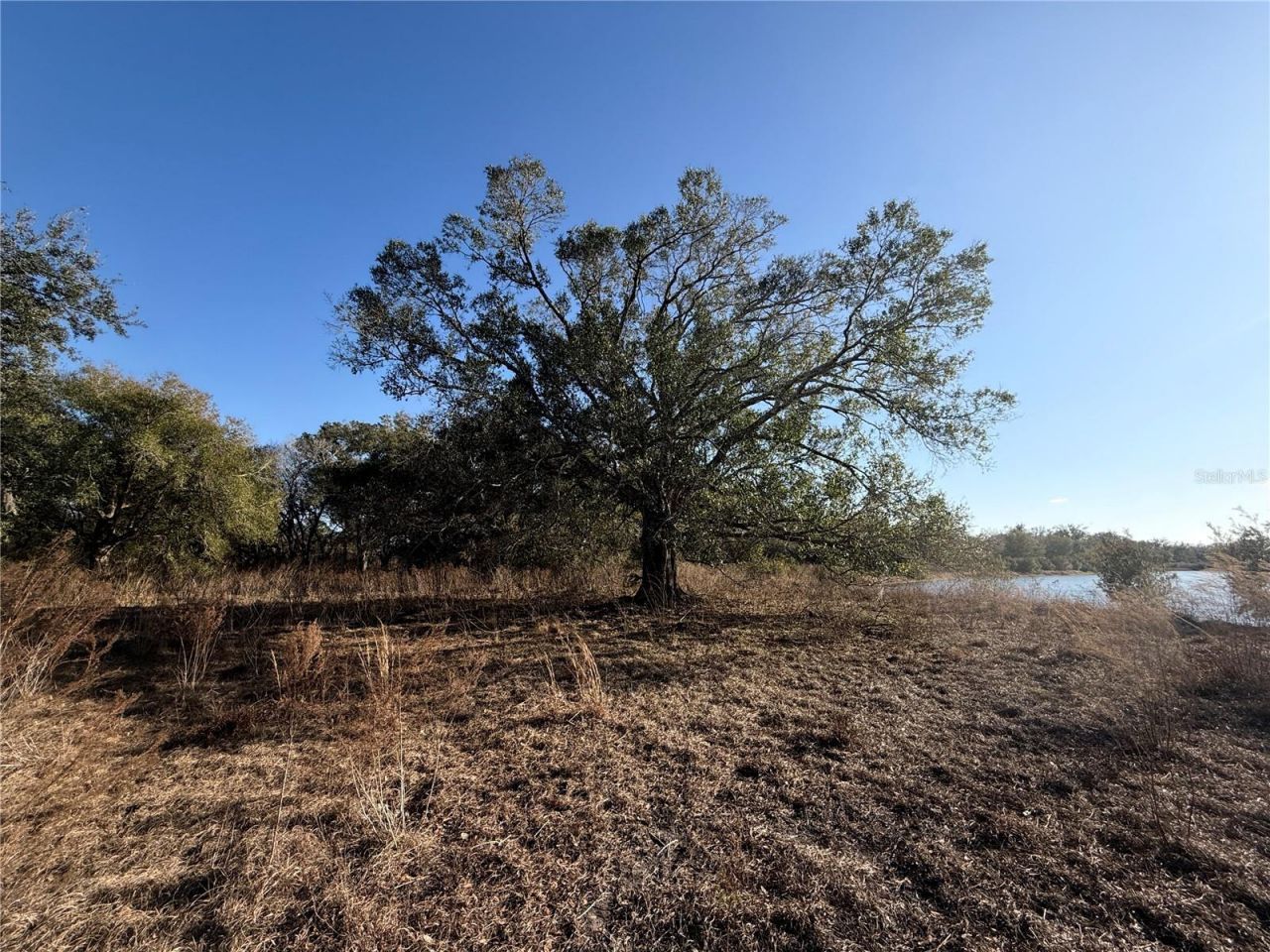 100ac NE Hwy 17, Arcadia, FL 34266 Photo