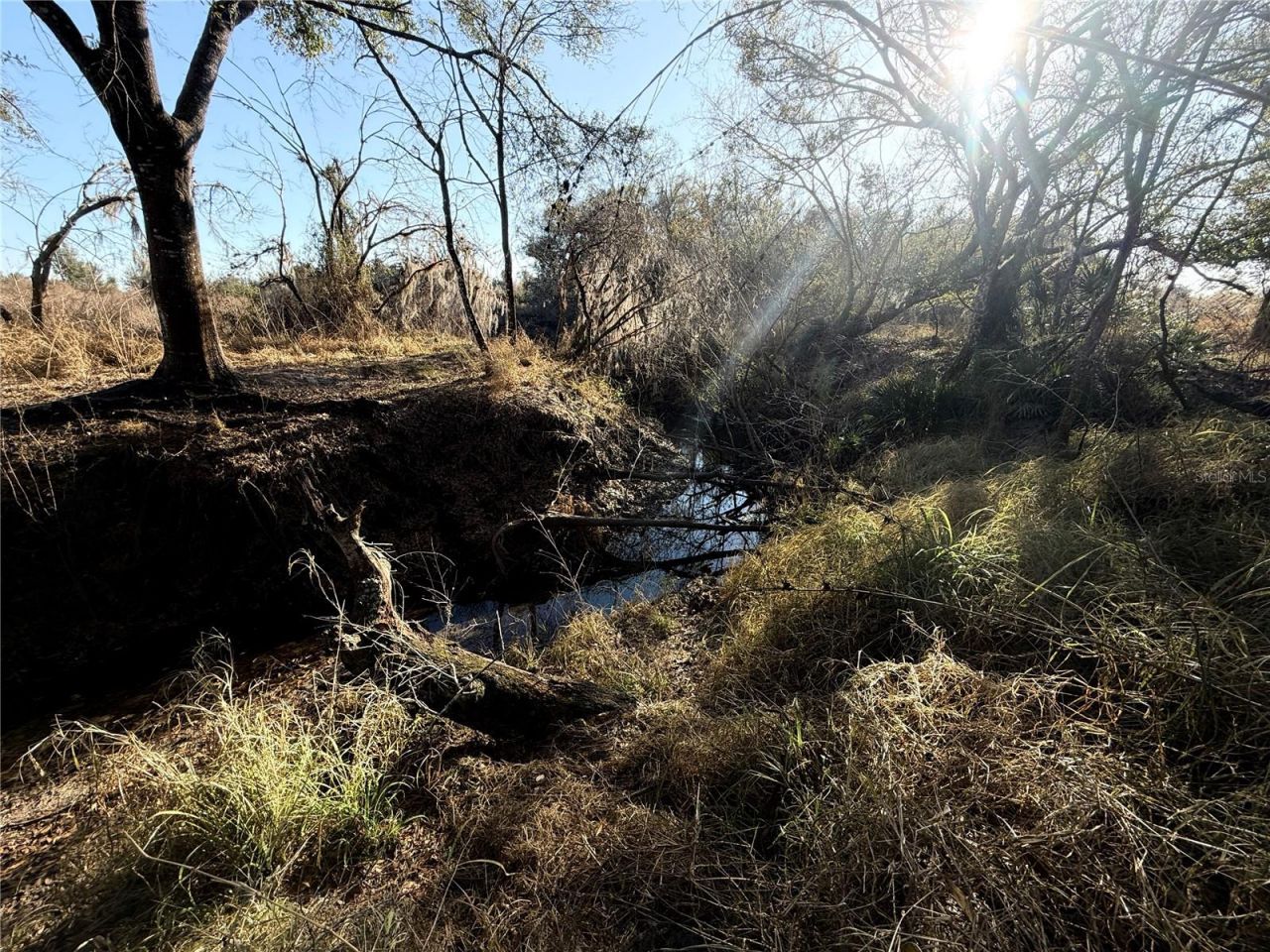 100ac NE Hwy 17, Arcadia, FL 34266 Photo