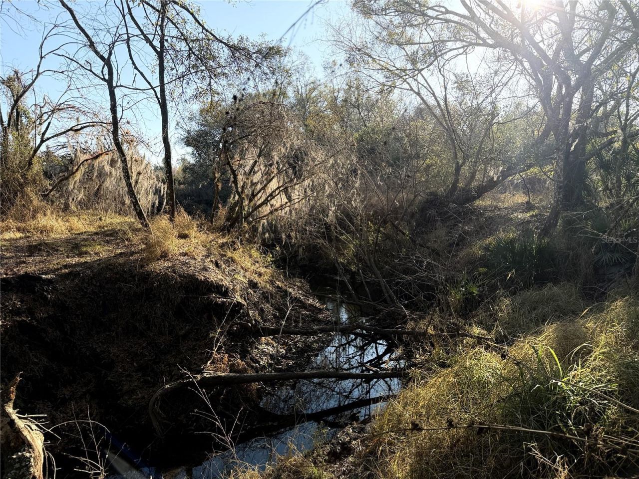 100ac NE Hwy 17, Arcadia, FL 34266 Photo