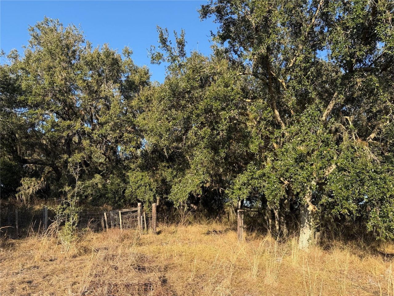 100ac NE Hwy 17, Arcadia, FL 34266 Photo