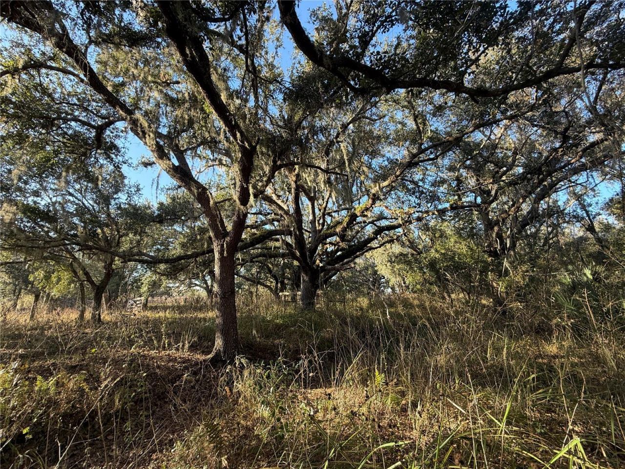 100ac NE Hwy 17, Arcadia, FL 34266 Photo