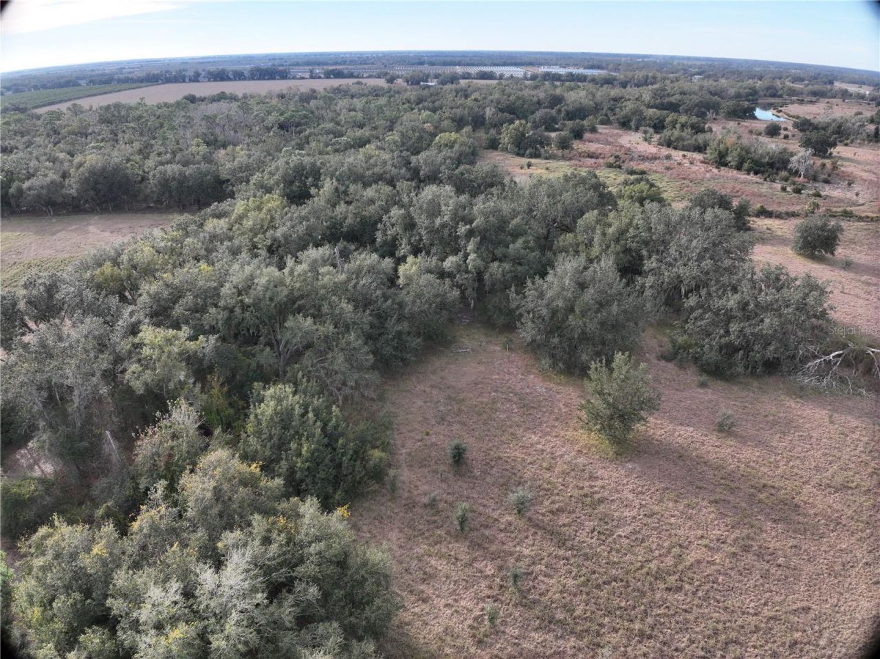 100ac NE Hwy 17, Arcadia, FL 34266 Photo