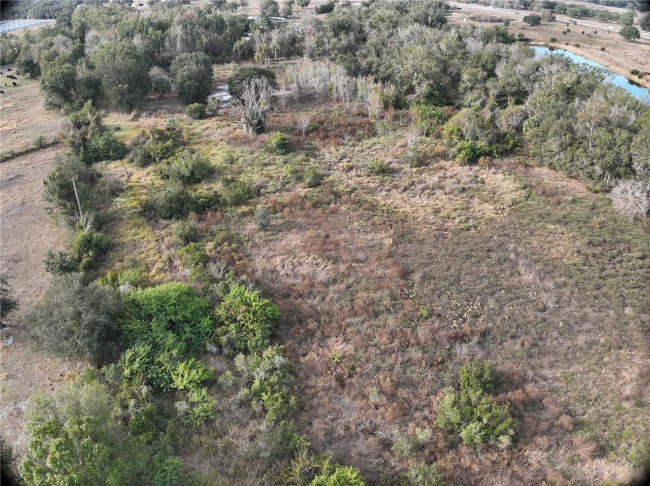 100ac NE Hwy 17, Arcadia, FL 34266 Photo