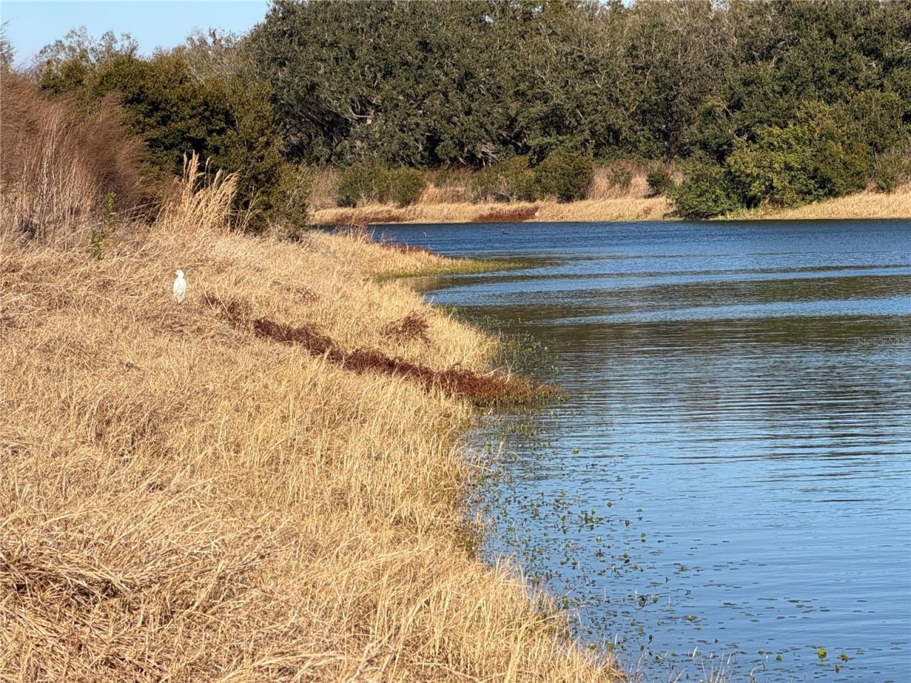 100ac NE Hwy 17, Arcadia, FL 34266 Photo