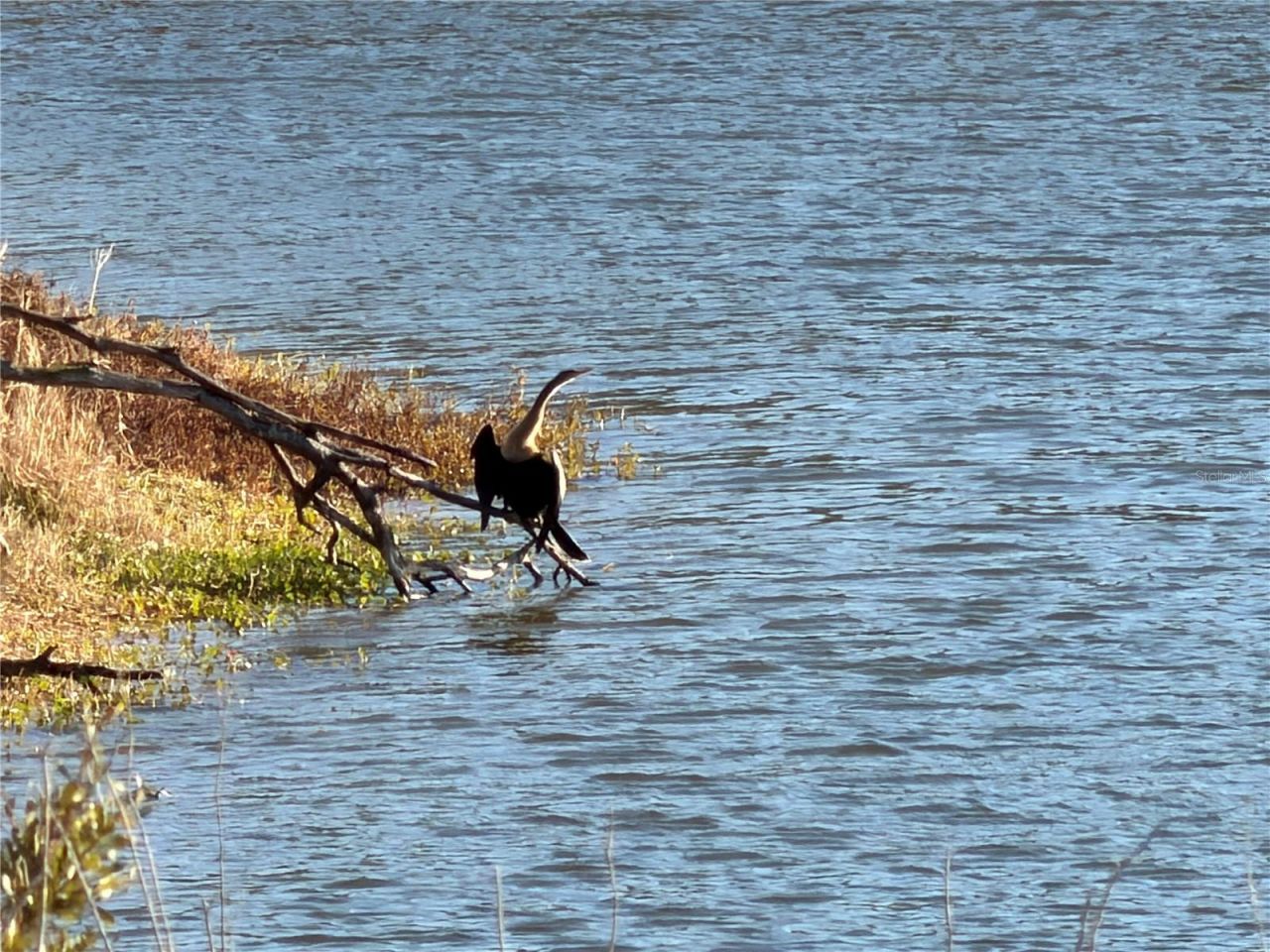 100ac NE Hwy 17, Arcadia, FL 34266 Photo