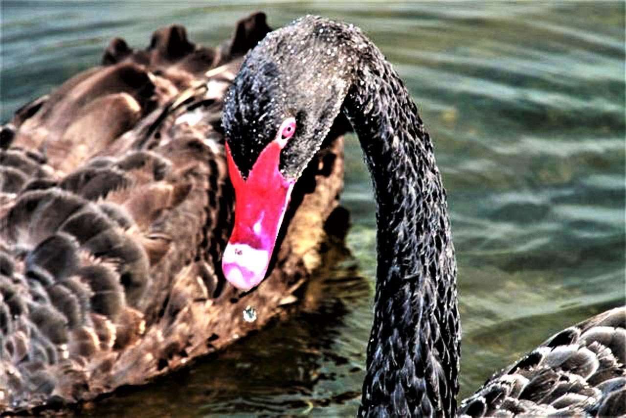 104 Westhill Circle Photo 38