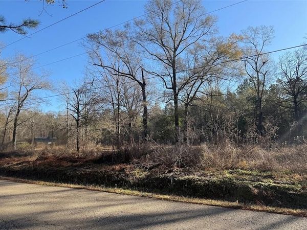 25230 FIRE TOWER Road, Holden, LA 70744