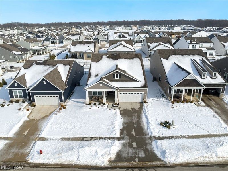 12827 Annabell Drive, Columbia Station, OH 44028 Photo 50