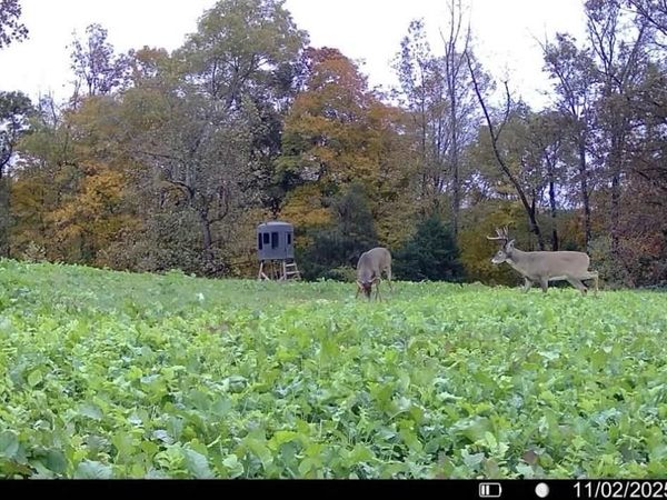 0 Cedar Flat Curtis Road, Edmonton, KY 42129