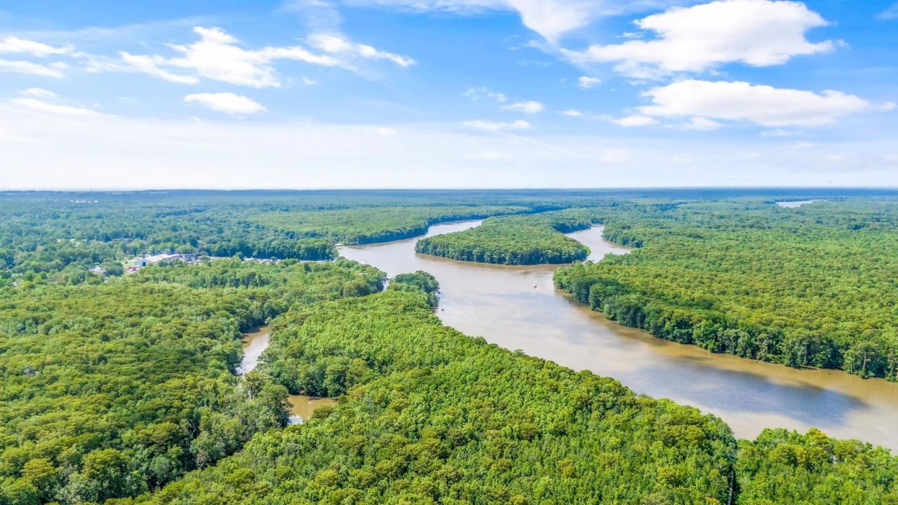 1652 Murrell Pl. Photo 47