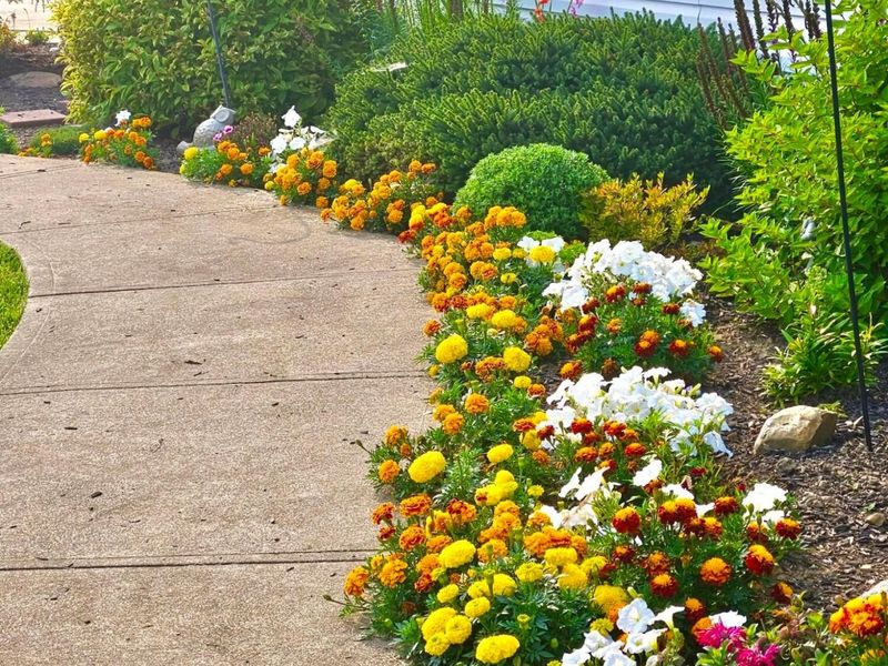 3401 Whitetail Drive W, Lexington, OH 44904 Photo 66