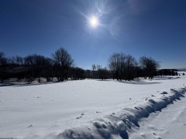 18 Pointy Knob Road, Davis, WV 26260