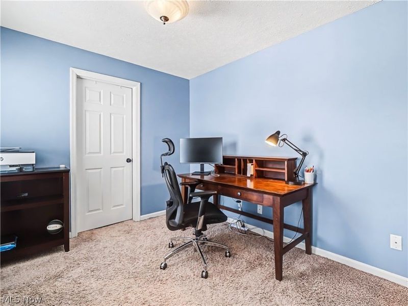 4314 S Fall Lake Drive, Avon, OH 44011 Photo 24