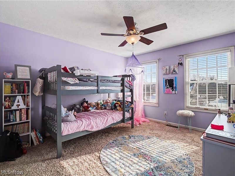 4314 S Fall Lake Drive, Avon, OH 44011 Photo 30