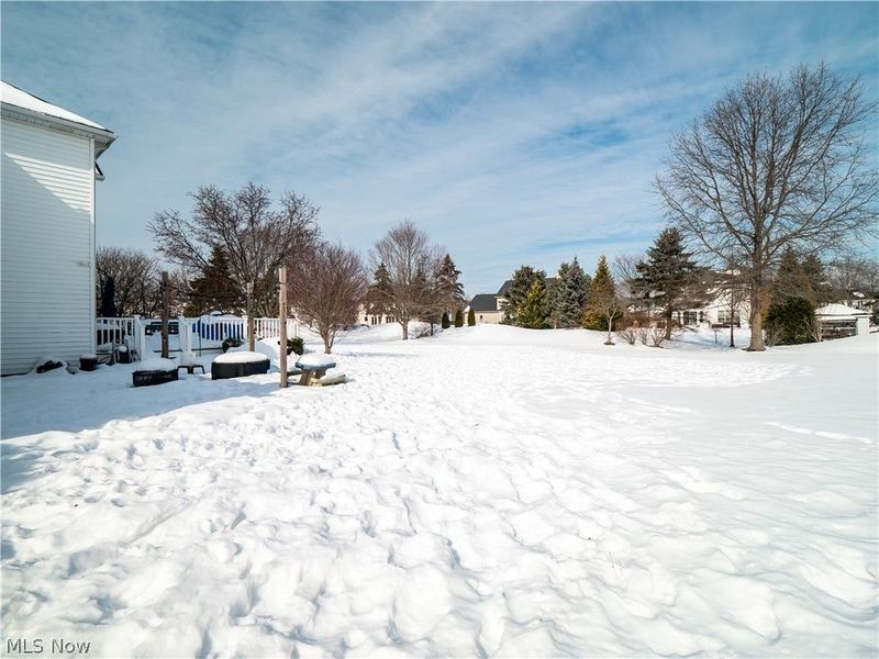 4314 S Fall Lake Drive, Avon, OH 44011 Photo 45