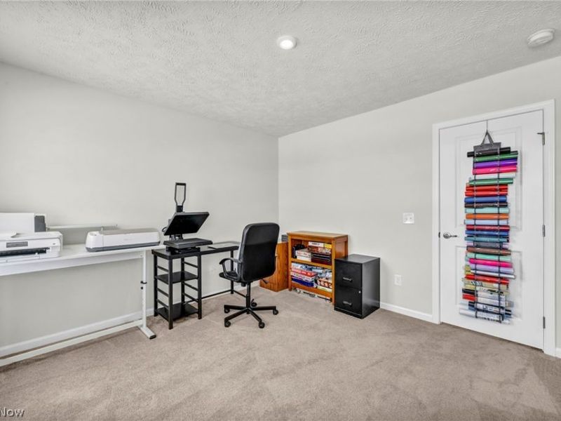 9216 Nash Lane, North Ridgeville, OH 44039 Photo 36