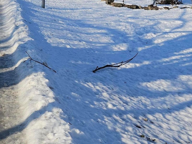 100 N Elm Street, Sugar Grove, OH 43155 Photo 21